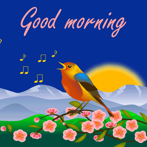 Happy Good Morning GIF - Find & Share on GIPHY