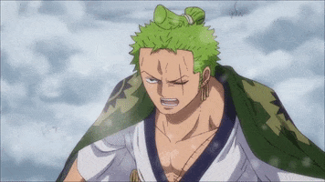 One Piece Fighting GIF by TOEI Animation UK