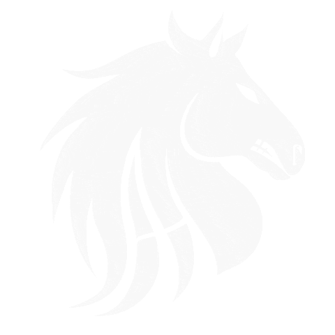 Horse Krasa Sticker by anabolichorse