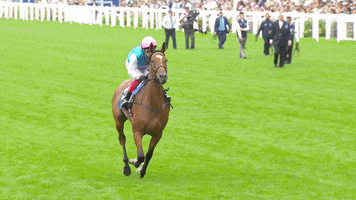 Frankie Dettori Enable Horse GIF by World Horse Racing