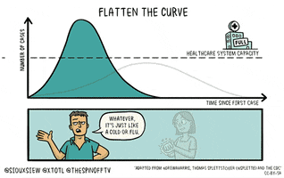 Flattenthecurve GIF by Parampara