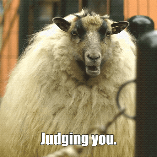 Judging You GIF by Los Angeles Zoo and Botanical Gardens Find & Share