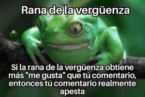 Ranadelavergüenza GIF