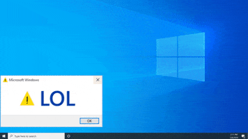Microsoft Windows Lol GIF by Windows