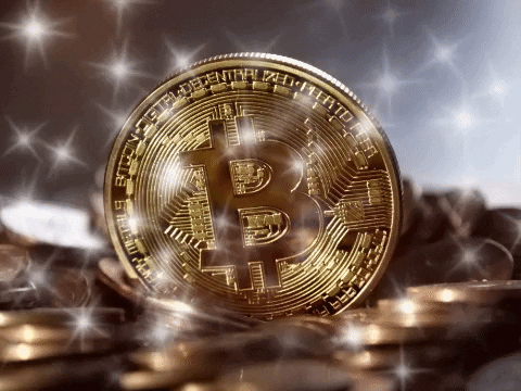 Money Bitcoin GIF by Empirex_capital