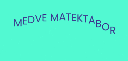 Mm Matematika GIF by Medve Matek