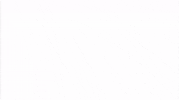 marquez  GIF