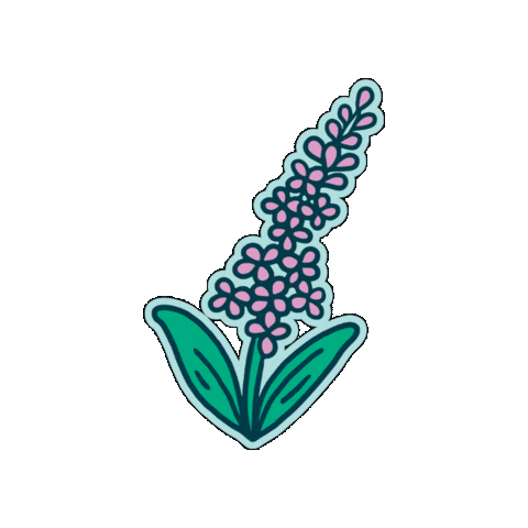 Alaska Wild Lights Sticker