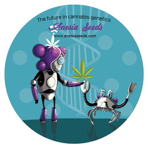 Anesia Seeds Sticker