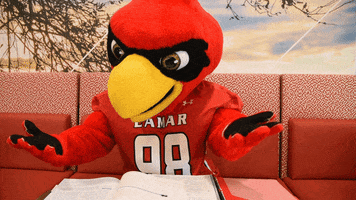 Frustrated Big Red GIF by Lamar University