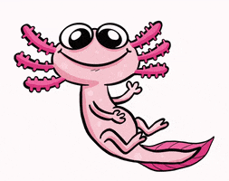 Axolotl Hello GIF by Boxadessin