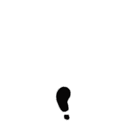 Footprint Sticker