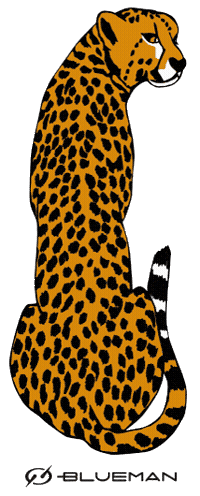 Sticker by Blueman