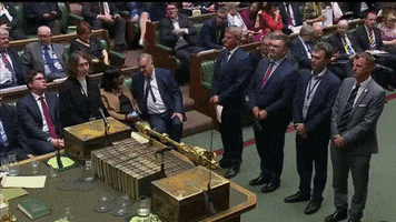 news brexit parliament house of commmons GIF