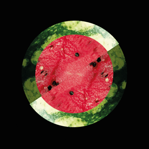 strabi GIF