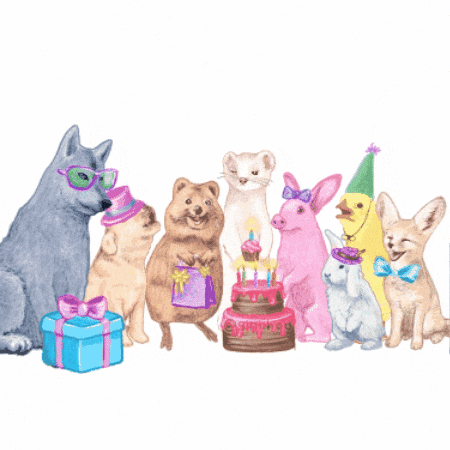 Birthday Skz GIF