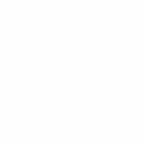 allisinco GIF