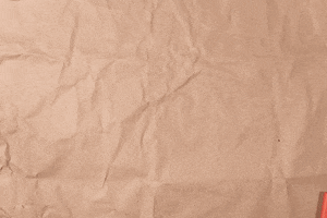 Bag GIF