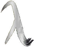 Tri-C®️ Lambda Gender-Sexuality Alliance Sticker