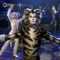 Cats Broadway GIF by GREAT PERFORMANCES | PBS
