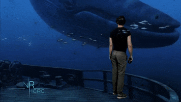Virtual Reality Sea GIF by VR Here