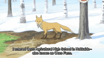 Silver Spoon Fox GIF by All The Anime — Anime Limited