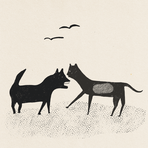 darjalewinchalem illustration animals kissing true love GIF