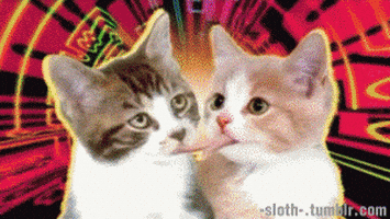 submission GIF by Tim and Eric