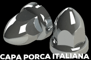 Nicolini Acessórios GIF