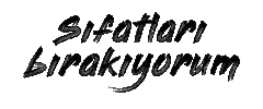 Varim Iyikivarim Sticker