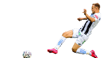 Football Soccer Sticker by SK Sturm Graz