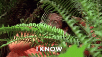 Moi Non Plus Jirai Pas Gifs Get The Best Gif On Giphy