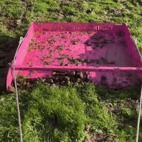 Horses Manure GIF by Paddock Blade