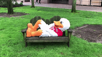 Wake Up Sleep GIF by Stevens Institute of Technology