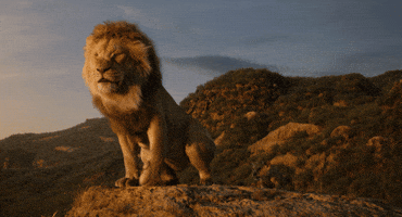 The Lion King Simba GIF by Walt Disney Studios