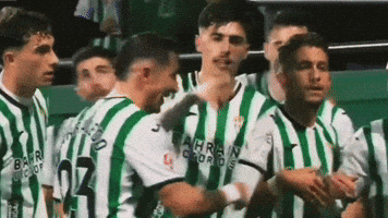 Equipo Ccf GIF