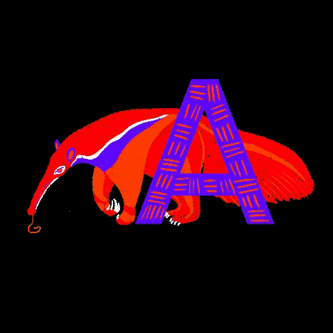 Anteater GIF