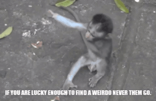 Friends GIF
