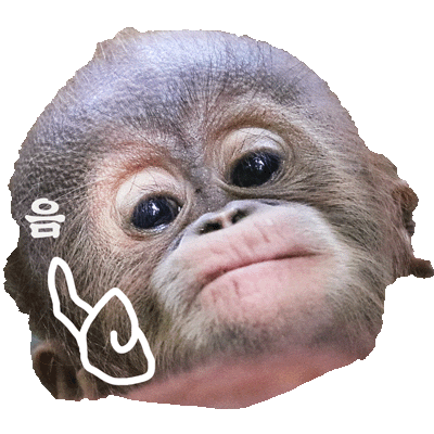 Animated Sticker