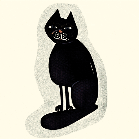 Blackcat GIF