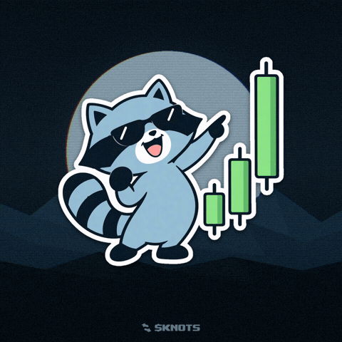 Crypto Solana GIF by KNOTSonSTONK