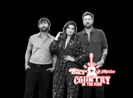 Country In The Park Citp GIF by KNCI