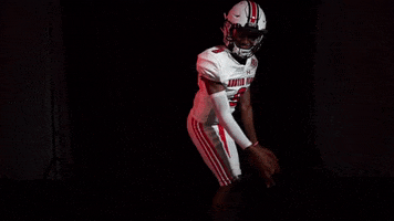 Lets Go Peay GIF by Austin Peay Athletics