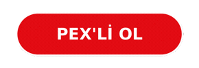 Real Estate Logo Sticker by Pex Realty