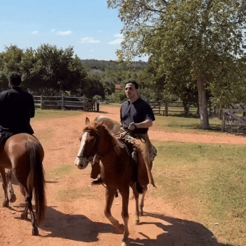 Agro GIF