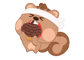 Squirrel Sticker