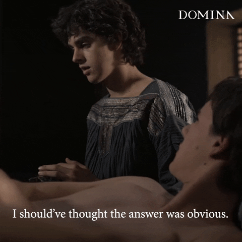 Dont Be Stupid Sky Atlantic GIF by Domina Series