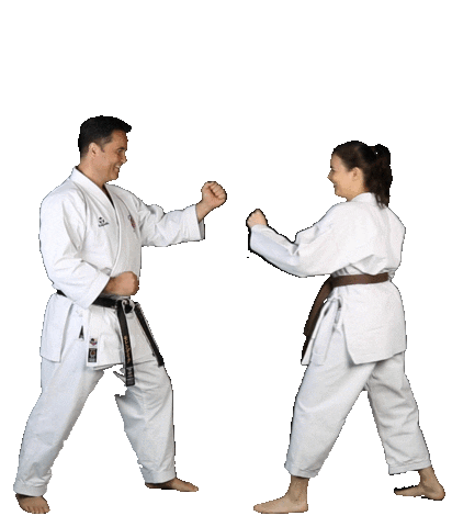 Isshoni Karate Sticker