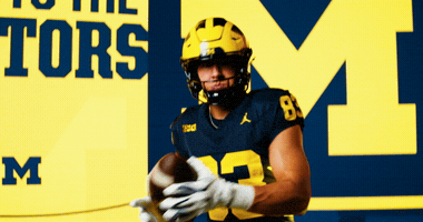 Go Blue Michigan Football GIF by Michigan Athletics