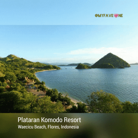 favekania travel komodo dragon indonesia travel resorts. hotel GIF